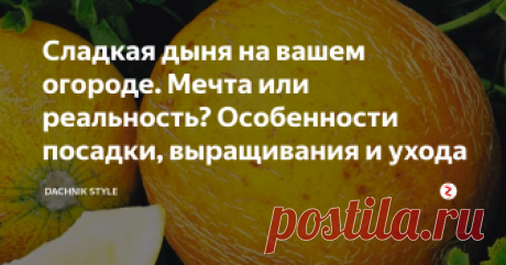 Сладкая дыня на вашем огороде. Мечта или реальность? Особенности посадки, выращивания и ухода Наверняка найдётся мало людей, которые бы не обожали сладкие, медовые плоды дыни. Дыней можно лакомиться не только свежей, но и консервированной. Существует несколько способов выращивания, которые нужно знать.
Посадка дыни рассадой
Этот способ рекомендуют опытные огородники, которые считают что лучше это растение выращивать рассадой. За 2 дня до посева, семена дыни следует прорастить, далее отбира