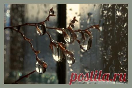 капли росы от пленAIR