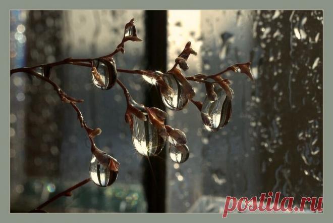 капли росы от пленAIR