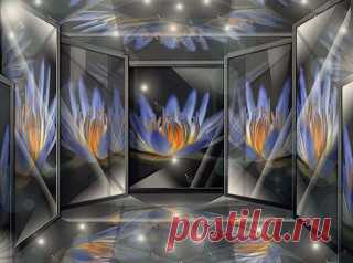 Mirrored Lotus | Flickr - Photo Sharing!
