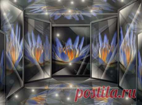 Mirrored Lotus | Flickr - Photo Sharing!