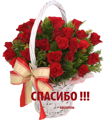 СПАСИБО!