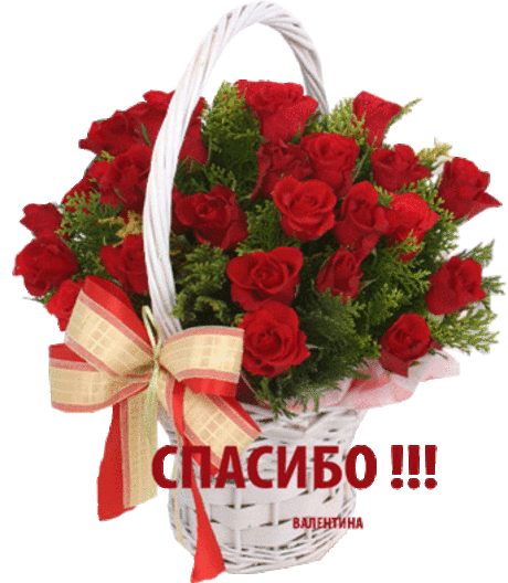 СПАСИБО!