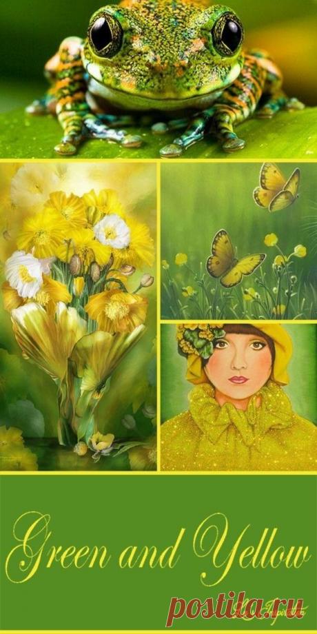 - Цветотерапия при близорукости
- Цветотерапия при гиперметропии
- Цветотерапия при дальнозоркости
- Цветотерапия при астигматизме
- Цветотерапия при амблиопии (слабовидение, ленивый глаз)
- Цветотерапия при астенопии
- Цветотерапия при пресбиопии