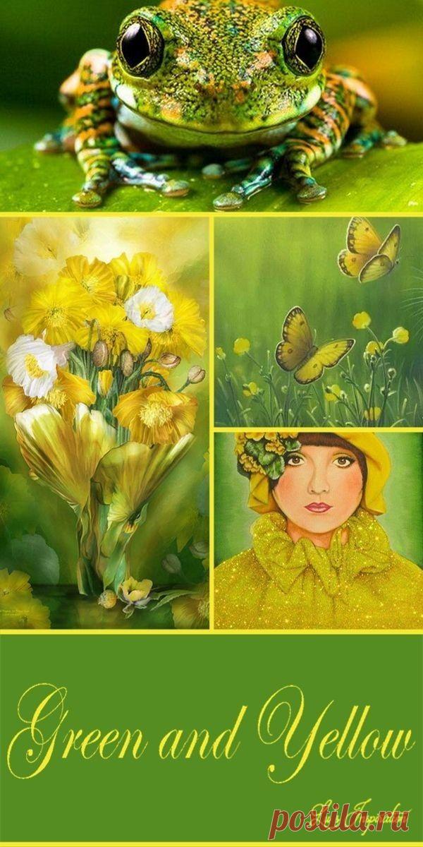 - Цветотерапия при близорукости
- Цветотерапия при гиперметропии
- Цветотерапия при дальнозоркости
- Цветотерапия при астигматизме
- Цветотерапия при амблиопии (слабовидение, ленивый глаз)
- Цветотерапия при астенопии
- Цветотерапия при пресбиопии