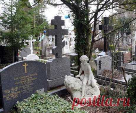 Что это значит? Дальше бога нет - жаба на дороге мем. Что означает, если лягушка сидит на могиле, в доме или другом месте по приметам. загадочные обстоятельства - жаба 100% Разное Приметы могут предупреждать человека о предстоящих событиях или показывать ему суть происходящего вокруг. Главное – уметь их правильно разгадать. Они могут
