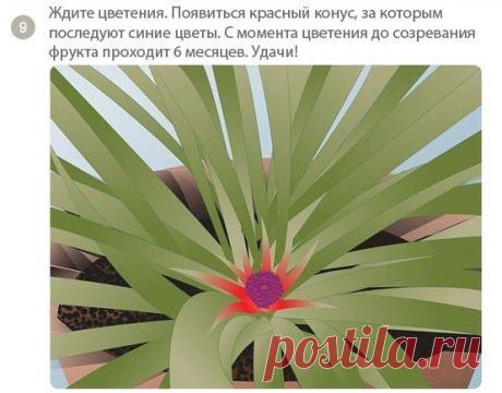 Community wall photos | 32,767 photos | VK