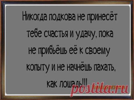 Что правда,то правда...