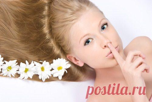 Натуральные красители для волос и их свойства / Все для женщины