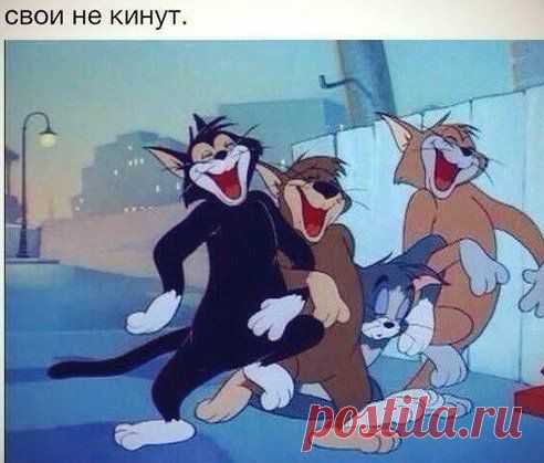 Одноклассники