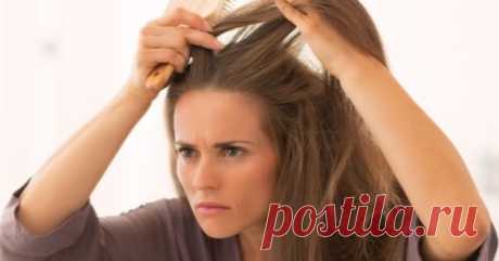 Как предотвратить рост седины естественным способом и вернуть им цвет
Седые волосы в раннем возрасте становятся распространенной проблемой современности. Это одна из самых больших проблем молодежи, потому что седые волосы портят всю красоту и внешний вид молодого человека или женщины. Прошли те времена, когда седые волосы были символом зрелости и возрастного фактора, теперь вы можете увидеть...
Читай дальше на сайте. Жми подробнее ➡