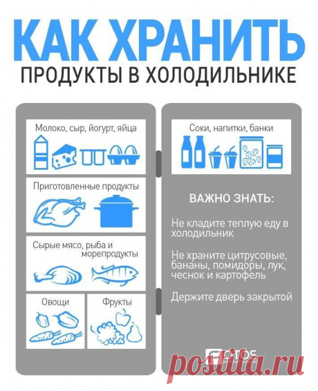 КАК ХРАНИТЬ ПРОДУКТЫ В ХОЛОДИЛЬНИКЕ - заморозка овощей и фруктов, мяса и птицы — F.ua