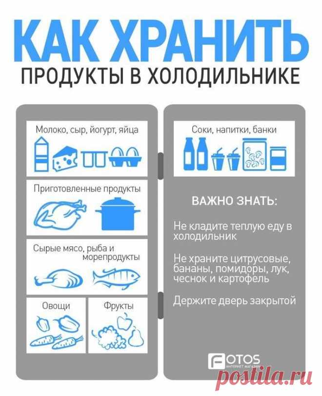 КАК ХРАНИТЬ ПРОДУКТЫ В ХОЛОДИЛЬНИКЕ - заморозка овощей и фруктов, мяса и птицы — F.ua