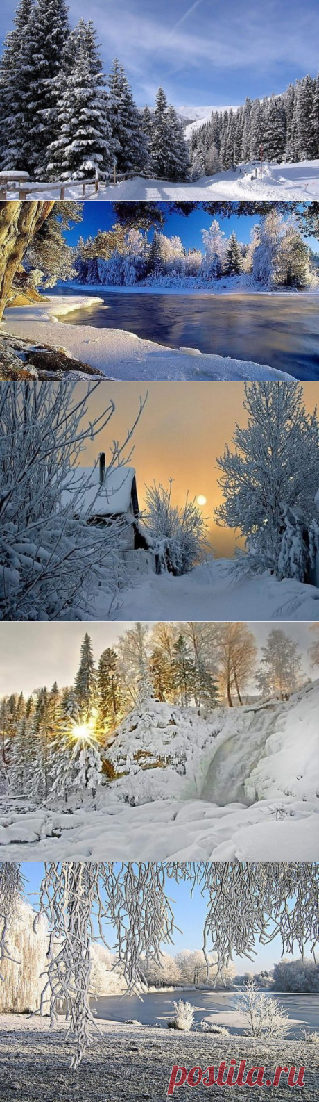 (27) Одноклассники