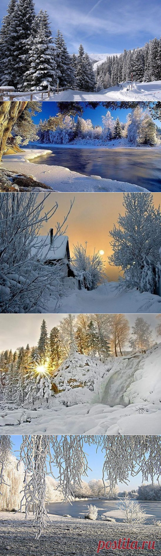 (27) Одноклассники