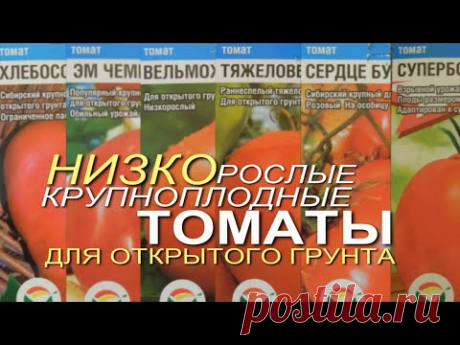 Шесть УРОЖАЙНЫХ КРУПНОПЛОДНЫХ НИЗКОРОСЛЫХ ТОМАТОВ для отрытого грунта! Советы от ЗЕЛЕНОГО ОГОРОДА!