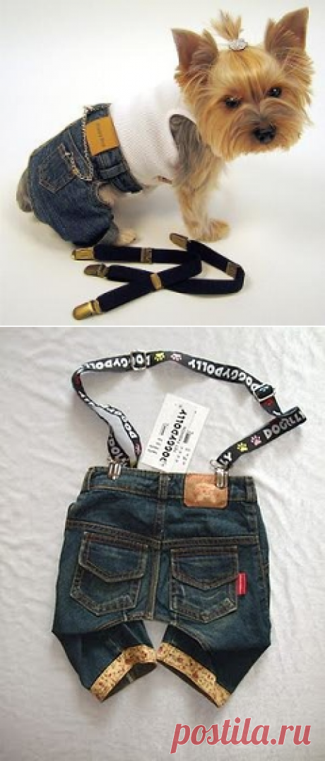 Штанишки для маленькой собачки