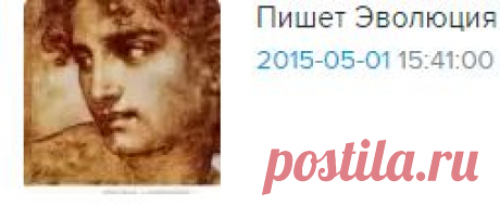 Анти-баги для желающих похудеть: evo_lutio