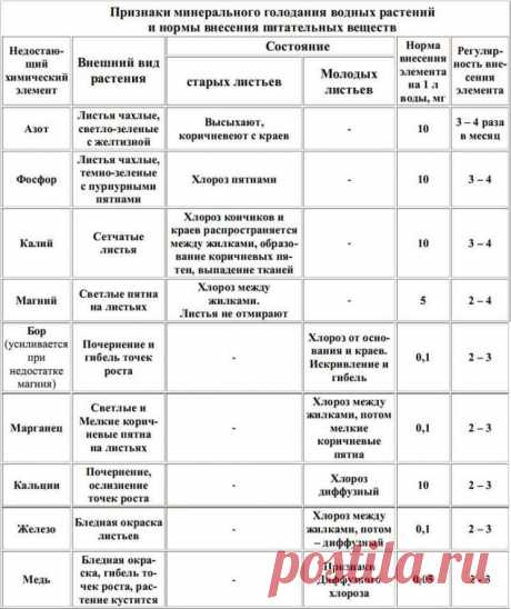 Подпитка растений