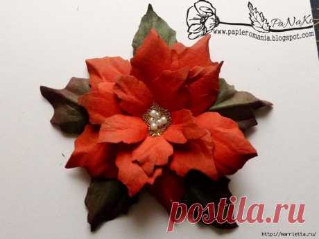 Рождественская звезда ПУАНСЕТТИЯ из бумаги. Шаблоны и мастер-класс