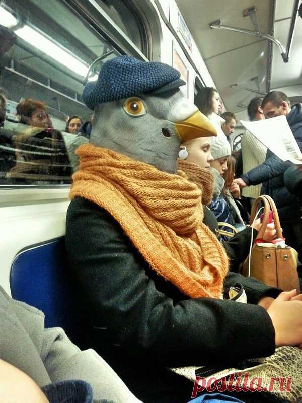 Метро. Уступать или нет?
