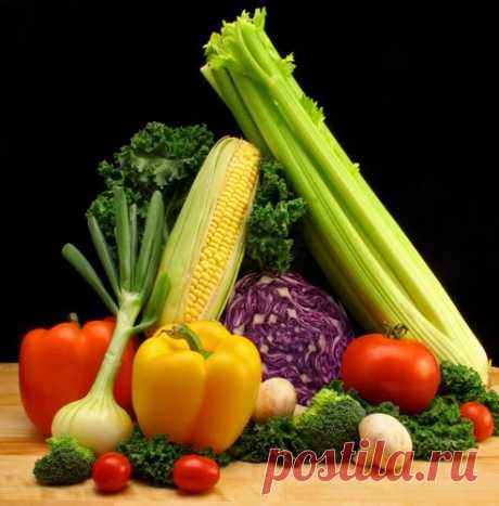 Основные принципы рационального питания: Здоровое питание - diets.ru