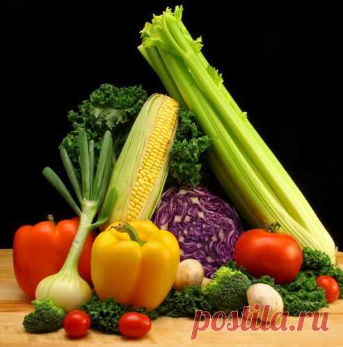 Основные принципы рационального питания: Здоровое питание - diets.ru