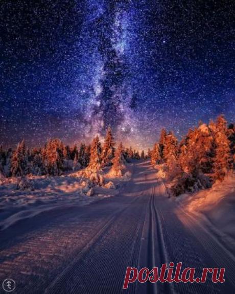 Pinterest (Pin) (157)