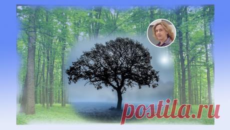 Одиночество в сети и среди людей: два шага чтобы его преодолеть | Ольга Зимихина | Яндекс Дзен