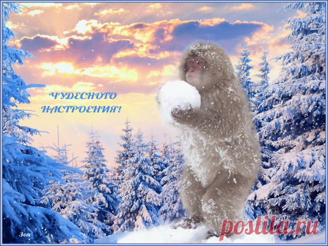 chudesnogo-nastroeniya.gif (1024×768)
