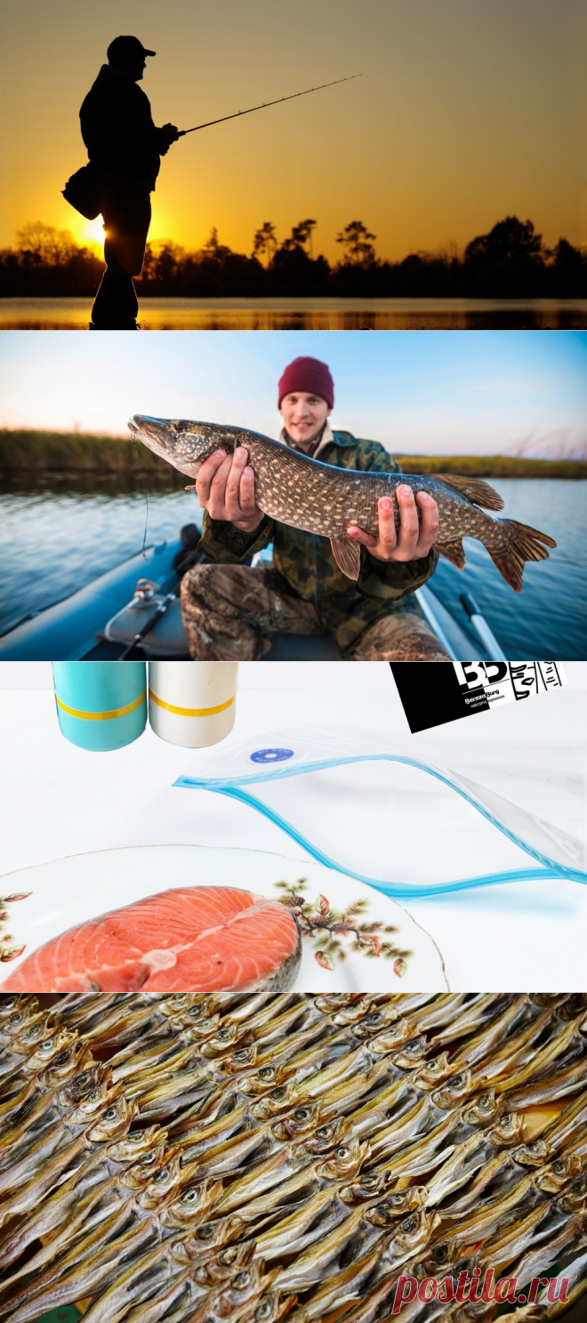 Как правильно хранить вяленую рыбу в домашних условиях | Дом | WB Guru