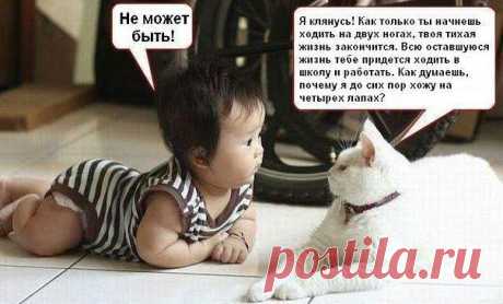 Эти забавные животные!
Владимир Фролов
