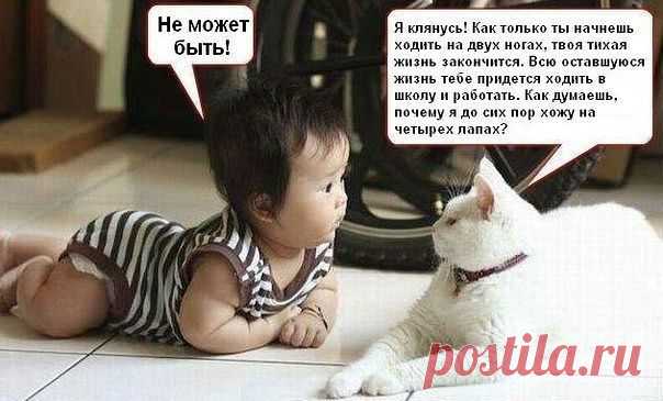 Эти забавные животные!
Владимир Фролов