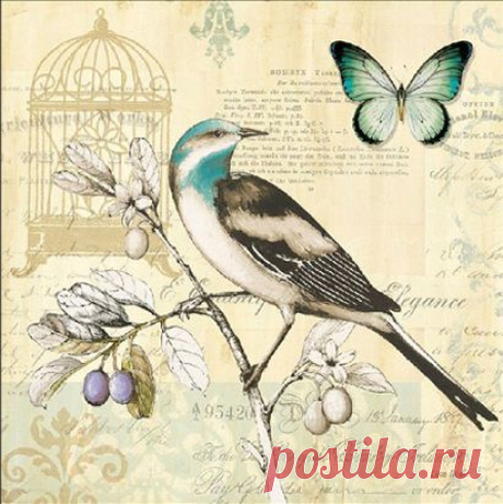 УРОКИ PHOTOSHOP и PAINT.NET | Записи в рубрике УРОКИ PHOTOSHOP и PAINT.NET | Дневник Елена_Кузнецова_81