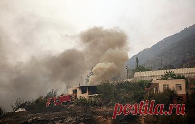 Лесные пожары зафиксировали в районе Бодрума. Возгорание лесных массивов произошло, в частности, в провинции Мугла и в провинции Айдын