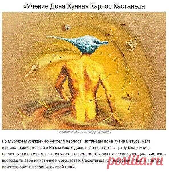 Мозговые орехи