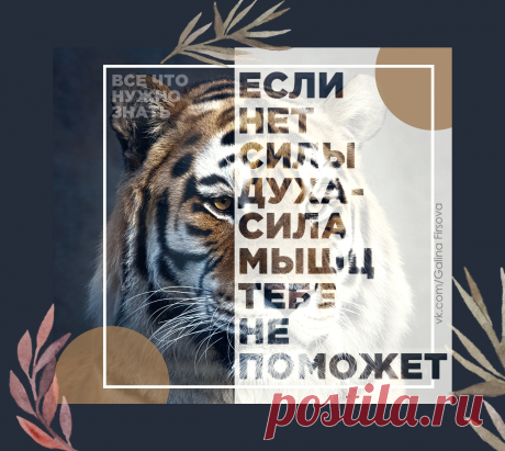 мои работы