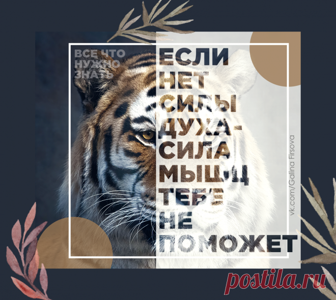 мои работы