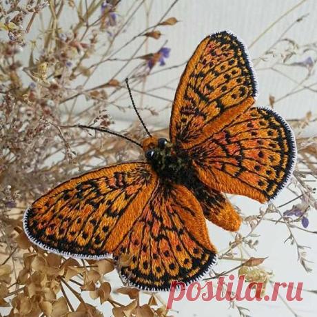 Автор: @handmadebeautifull  Как же мне понравилось вышивать бабочек. Рыженькую бабочку зовут Перламутровка Геката. Переднее крылышко у бабочек бывает от 18 до 24 мм. Брошь-бабочка вышита гладью мулине, выполнена в объёмной технике. По краю крылышек проложен проволочный каркас, который позволяет менять их положение. Размер броши 80х45мм.  ПРОДАЁТСЯ.  #ручнаяработа #вышитыебабочки #брошьручнойработы #брошьбабочка #обьемнаявышивка #вышитыеброши #вышитаяброшь #брошьручнойработ...