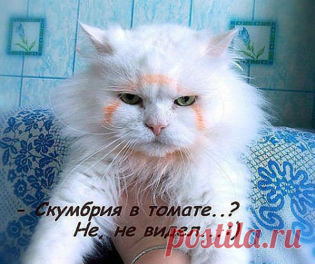 VIDEO ►YouTube ᴼᴿᴵᴳᴵᴺᴬᴸ(18ᐩ)