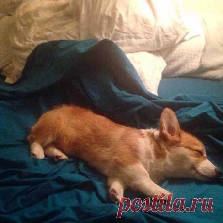 ЮМОР +