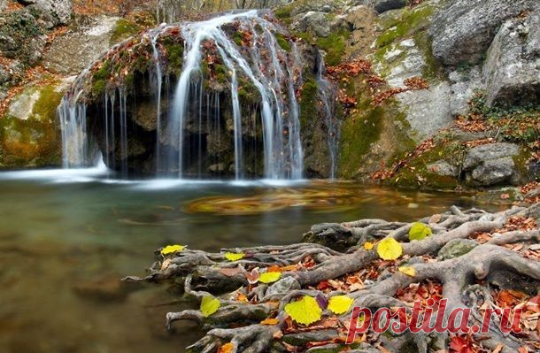 ФотоТелеграф
