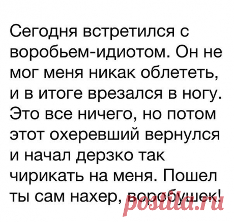 Ташка Кармишина - Иваново, Ивановская обл., Россия, 37 лет на Мой Мир@Mail.ru