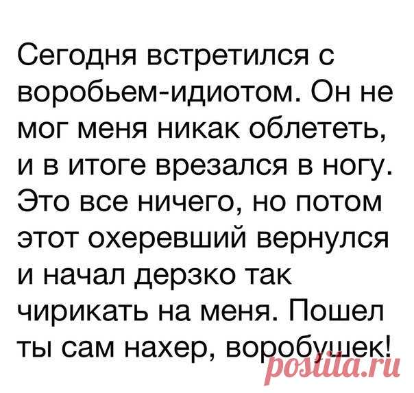 Ташка Кармишина - Иваново, Ивановская обл., Россия, 37 лет на Мой Мир@Mail.ru