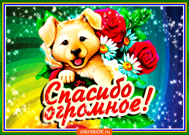 Красивые и прикольные картинки спасибо | Открытки бесплатно