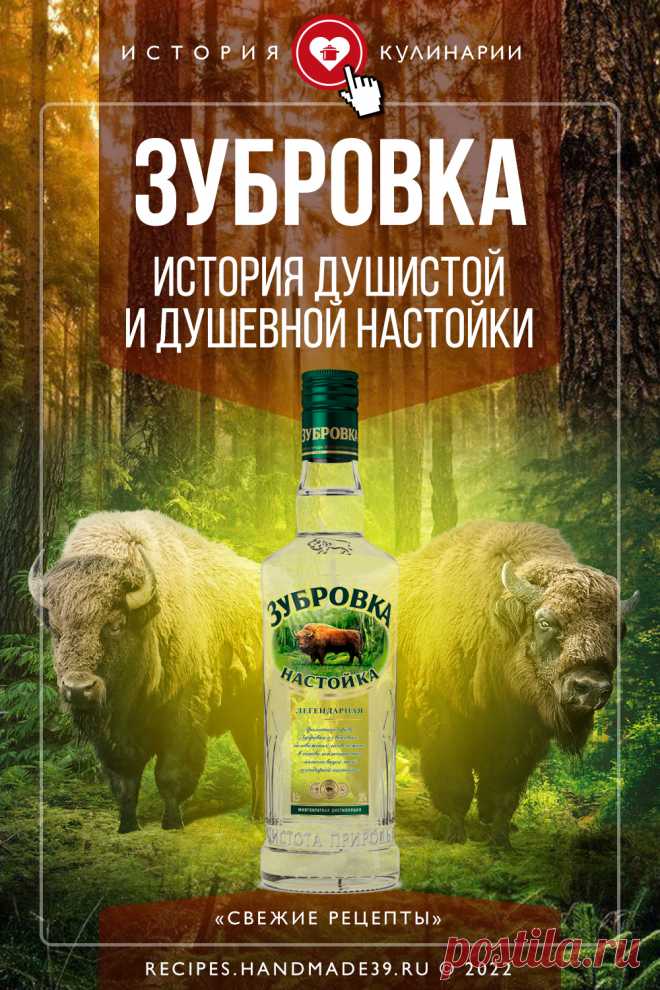 Зубровка – настойка душистая и душевная. Интересные факты о зубровке. История происхождения алкогольного напитка. Состав, вкус, запах зубровки. Рецепт коктейлей с зубровкой. Эстетика подачи напитка. #свежиерецепты #зубровка #алкоголь #напитки #коктейль #настойка