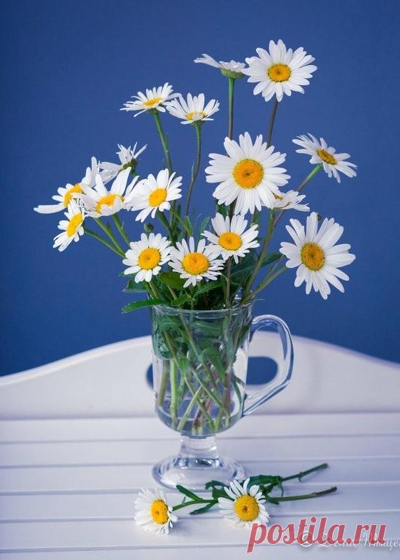 В одном часе любви – целая жизнь. Оноре де Бальзак