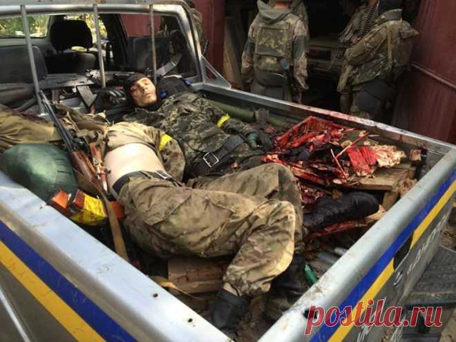 Сводки от ополчения Новороссии