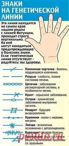 (48) Pinterest