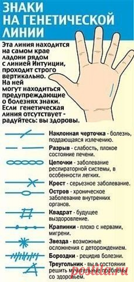 (48) Pinterest